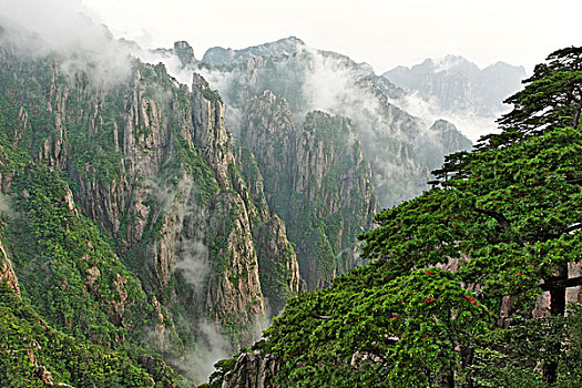 听话的水在什么地方能买到C1B8D97C5-18975